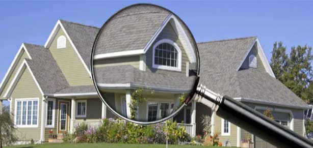 modular home expert witness