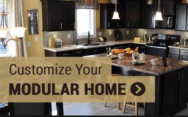 modular home expert witness