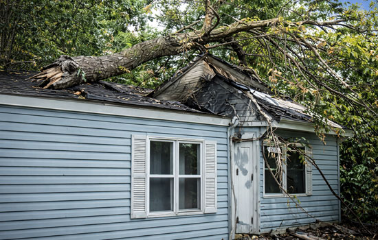 storm damage to manufactured home roof from fallen tree in glendale az call (623) 915-1447