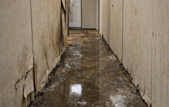 water damage inside manufactured home with flooded hallway in glendale az call (623) 915-1447